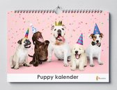 Puppykalender 35x24 cm | Verjaardagskalender | Puppy kalender | Verjaardagskalender Volwassenen