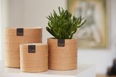 OOhh duurzame paper pot - Milano Cylinder naturel S - Set van 2