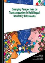 Emerging Perspectives on Translanguaging in Multilingual University Classrooms