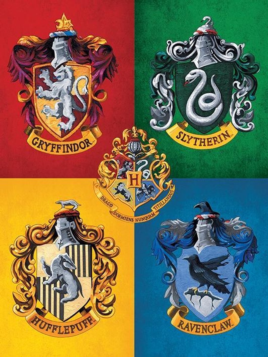 Harry Potter Canvas - Colourful Crests (40x30cm)