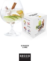 Secco Box Ginger Lime Drink Infusions
