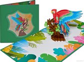 Popcards popupkaarten – Dierenkaart Papegaai Ara Oerwoud Jungle Dierentuin Felicitatie pop-up kaart 3D wenskaart