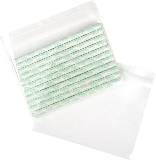 Sacs en plastique 19x13cm transparents et refermables (100 pièces)