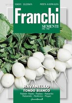Franchi -  Radijs, Ravanello Tondo Bianco 112/2