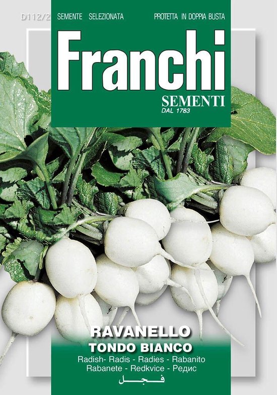 Franchi – Radijs, Ravanello Tondo Bianco