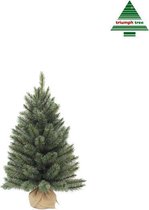 Triumph Tree - Forest frosted pine christmas tree burlap/potted frosted, newgrowth blue  -  h90xd61cm