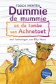 Dummie de mummie 2 - De tombe van Achnetoet