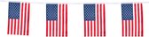 Boland - Vlaggenlijn - Polyester USA Slingers 4 meter - 100% polyester - Voor binnen & buiten - Verjaardag - Themafeest - Tienerfeestje