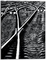 Dibond - Wisselend Treinspoor ( Zwart Wit)  - 30x40cm Foto op Aluminium (Met Ophangsysteem)