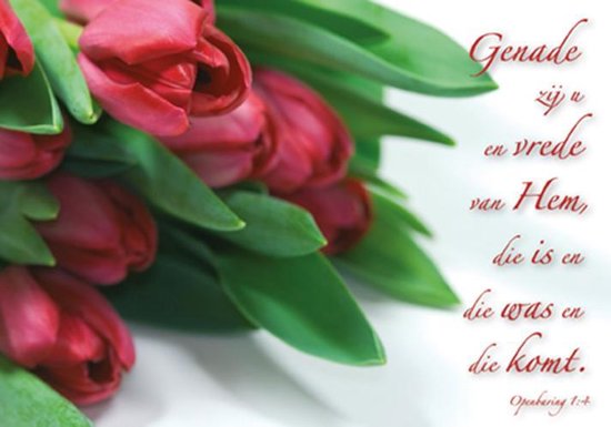 Een boeket dieprode tulpen met groene bladeren en de tekst 'Genade zij u en vrede van Hem, die is en die was en die komt. Openbaring 1:4'.