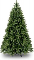National Tree Company Poly Bayberry Spruce Kunstkerstboom - 243 cm - Brandvertragend - Metalen voet
