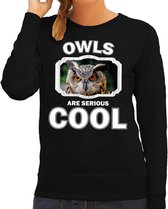 Dieren uilen sweater zwart dames - owls are serious cool trui - cadeau sweater uil/ uilen liefhebber L