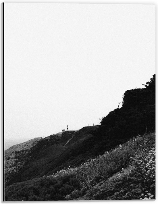 Dibond - Berglandschap (zwart/wit) - 30x40cm Foto op Aluminium (Wanddecoratie van metaal)