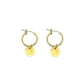 coin earrings - goud