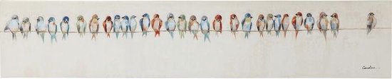 Kare Schilderij Touched Birds Meeting 30x150 cm