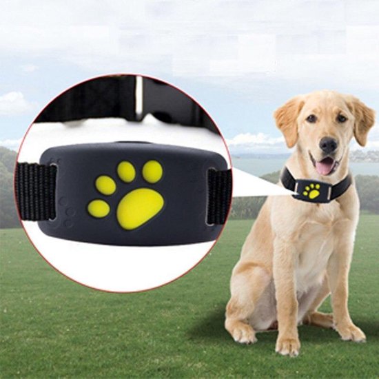 Z8 GPS Tracker met Microfoon voor Honden en Katten 2G sim