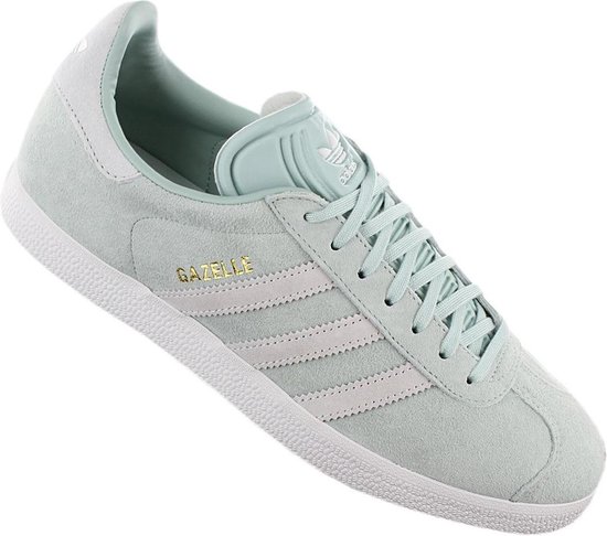 gazelle 37
