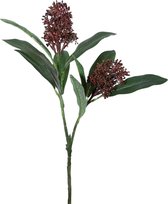Viv! Home Luxuries Skimmia - zijden bloem - donker rood - topkwaliteit