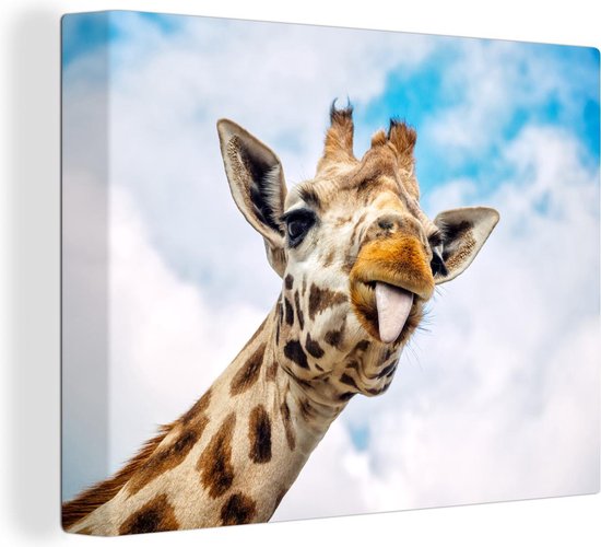 Une Drole De Girafe Tire Sa Langue Sur Toile 80x60 Cm Tirage Photo Sur Toile Bol Com