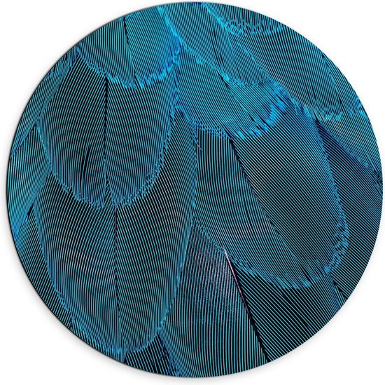 Dibond Wandcirkel - Blauwegekleurde Pauwenveren - Foto op Aluminium Wandcirkel (met ophangsysteem)
