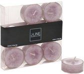 J-Line 12 Dozen met 9 Theelichtjes Waxinelichtjes Lavendel 4H Set van 108 Stuks Totaal