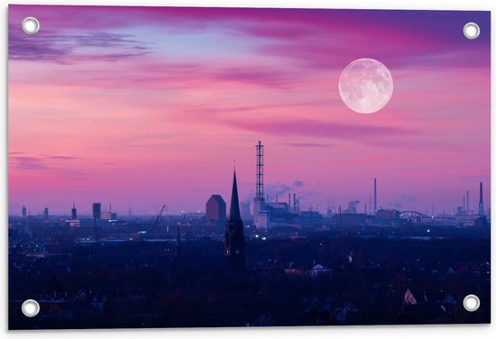 Tuinposter – Paars Roze Lucht met Maan boven Stad - 60x40cm Foto op Tuinposter  (wanddecoratie voor buiten en binnen)