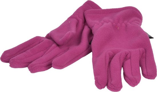P&T Handschoenen Dames - Micro Fleece - Violet
