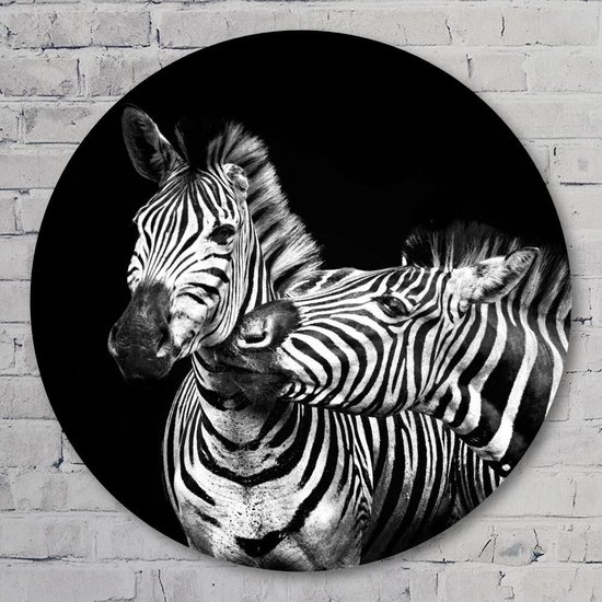 kat Omzet hoek Zebra's - 80 cm Forex Muurcirkel - Dieren - Wanddecoratie - Rond Schilderij  - Wandcirkel | bol.com