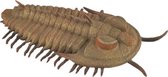 Collecta Speeldier Prehistorie Trilobieten 9,5 Cm Abs Bruin
