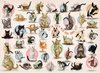 Yoga Kittens Puzzel (500 stukjes)