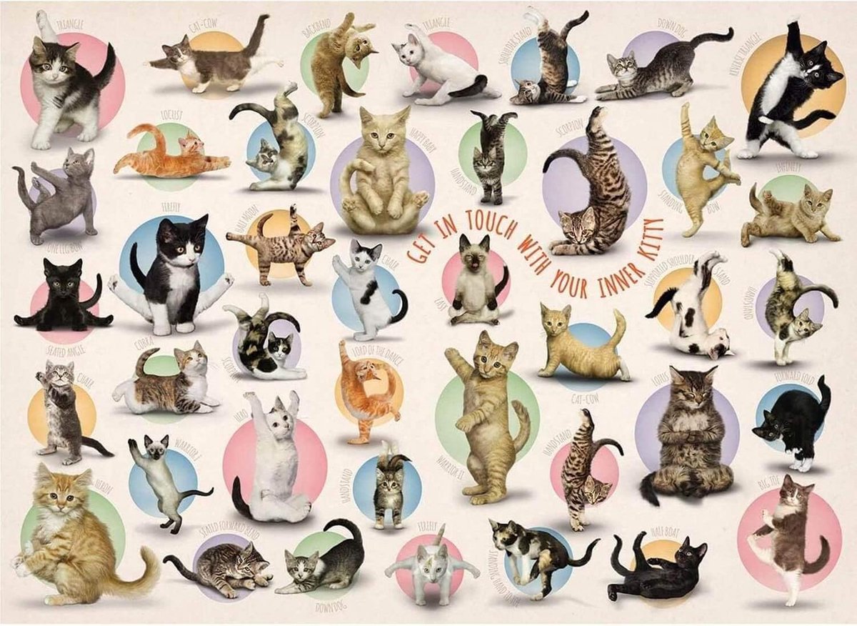 Yoga Kittens Puzzel (500 XL stukjes)
