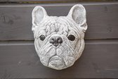 Franse bulldog kop van beton