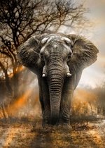 DP Diamond Painting Afrikaanse Olifant 50 x 70 cm