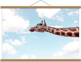 Schoolplaat – Giraffe op Blauwe Achtergrond  - 90x60cm Foto op Textielposter (Wanddecoratie op Schoolplaat)