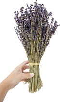 Gedroogde Lavendel - Gedroogde bloemen - droogbloemen - Bosje bloemen - Bosje lavendel - Franse lavendel - Provence - moederdag cadeau - postbloemen