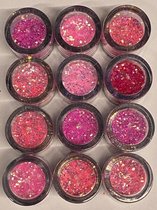 Nail Art - Nagel Glitters - Acryl - Gel - Gezicht - Ogen - Lippen - Lichaam - Diverse Kleuren - Set 12 Stuks x 10 ML