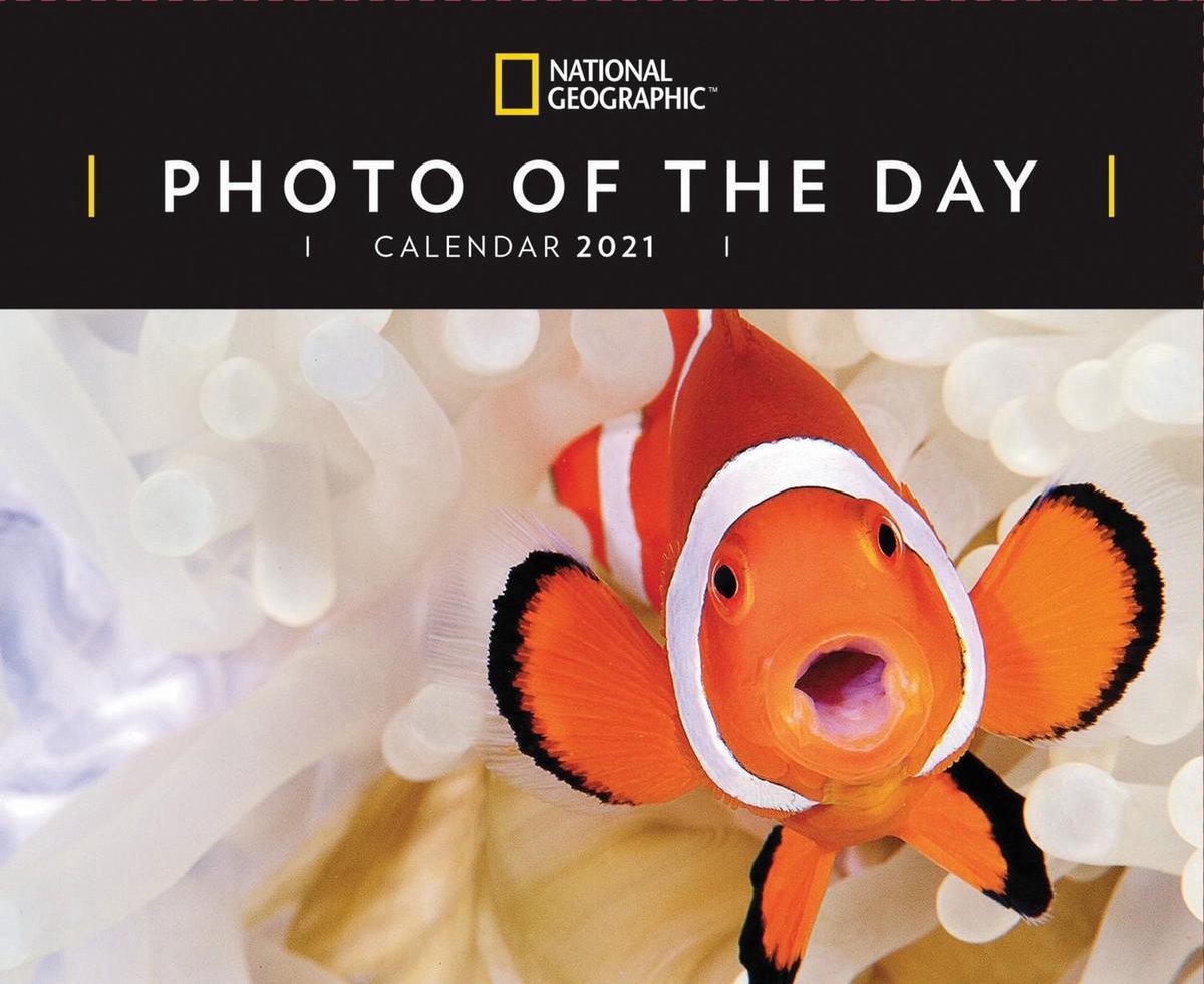 Photo of the Day National Geographic Boxed Kalender 2021