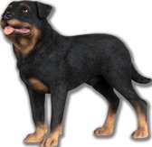 Rottweiler Hond (Dog), hondenbeeldje, figuur