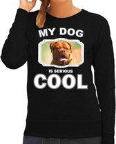 Franse mastiff honden trui / sweater my dog is serious cool zwart - dames - Franse mastiff liefhebber cadeau sweaters M