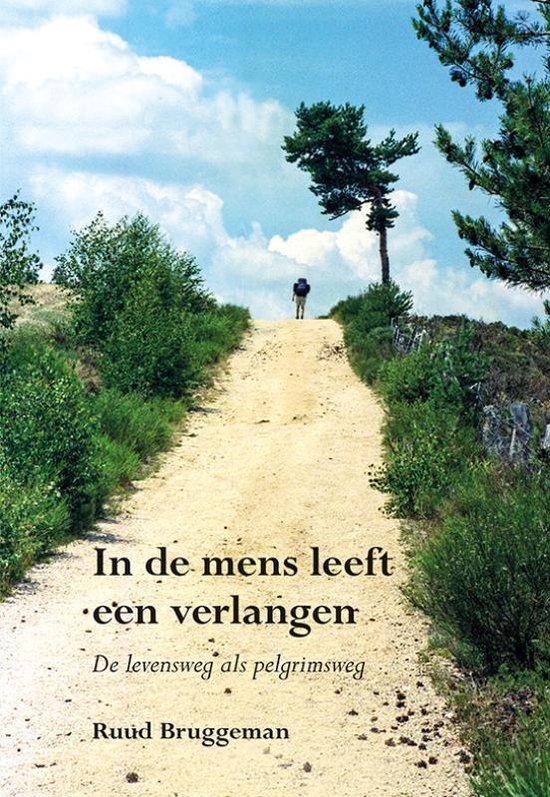 Boek cover In de mens leeft een verlangen van Ruud Bruggeman (Paperback)