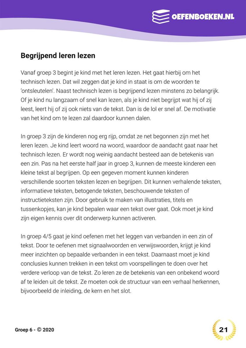Pagina met tekst over begrijpend lezen voor groep 6, met op de achtergrond een subtiel patroon.