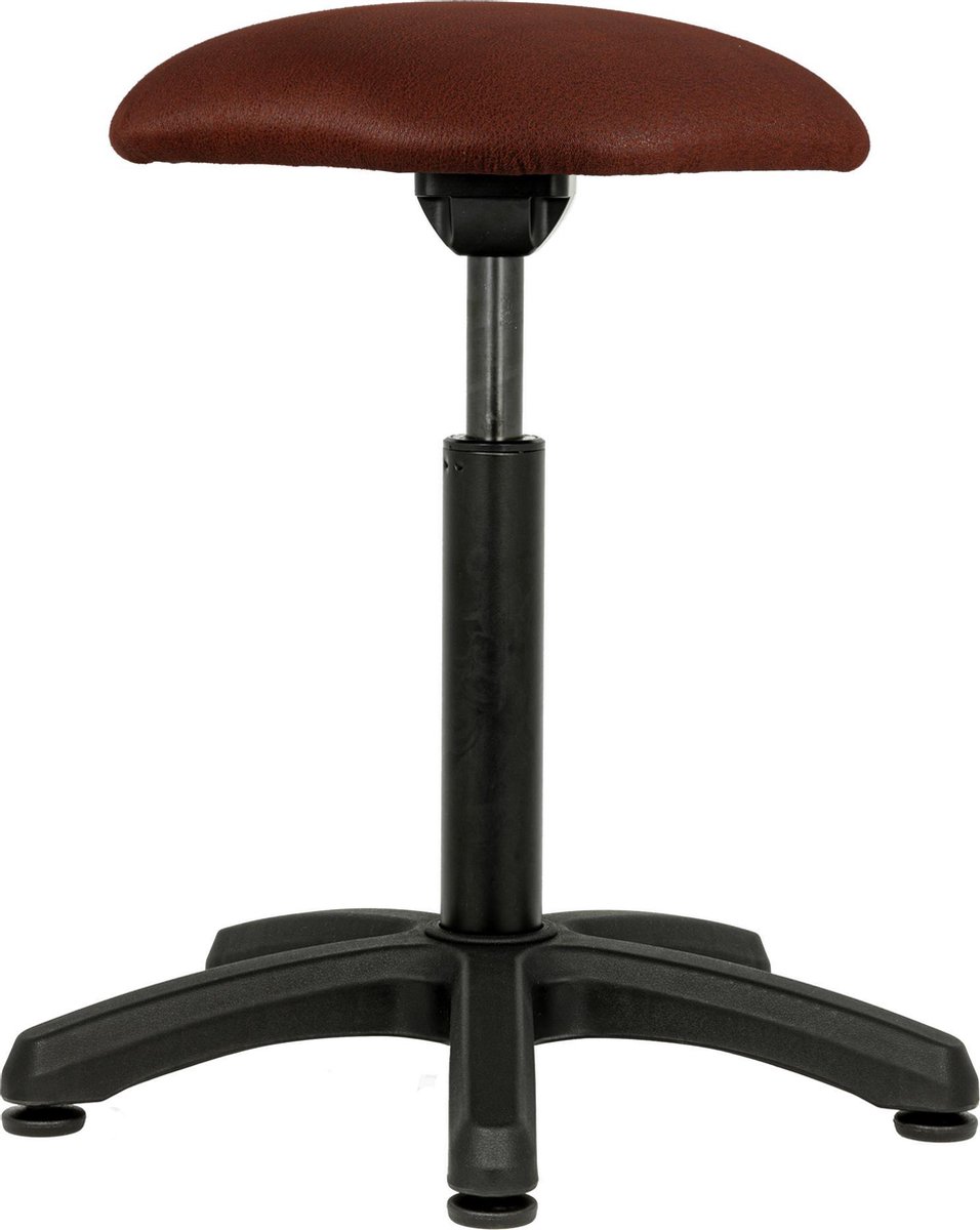Balergo Plus balanskruk