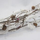 Sneeuwtak, 6 stuks, lengte 75 cm: hout