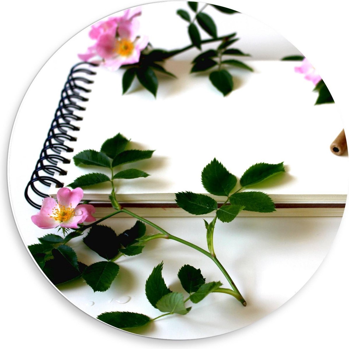 KuijsFotoprint Forex Wandcirkel - Notitieboekje met Bloemen - 50x50cm Foto op Wandcirkel (met ophangsysteem) Groen