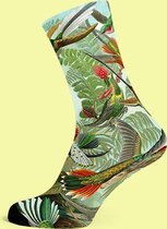 Painted Socks Haeckel - Sokken met Kunst print - Bamboe - One Size - Kunstkado