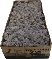 MosBiz Rendiermos Lavendel Blue per 500 gram voor decoraties, mosschilderijen en bloemstukjes