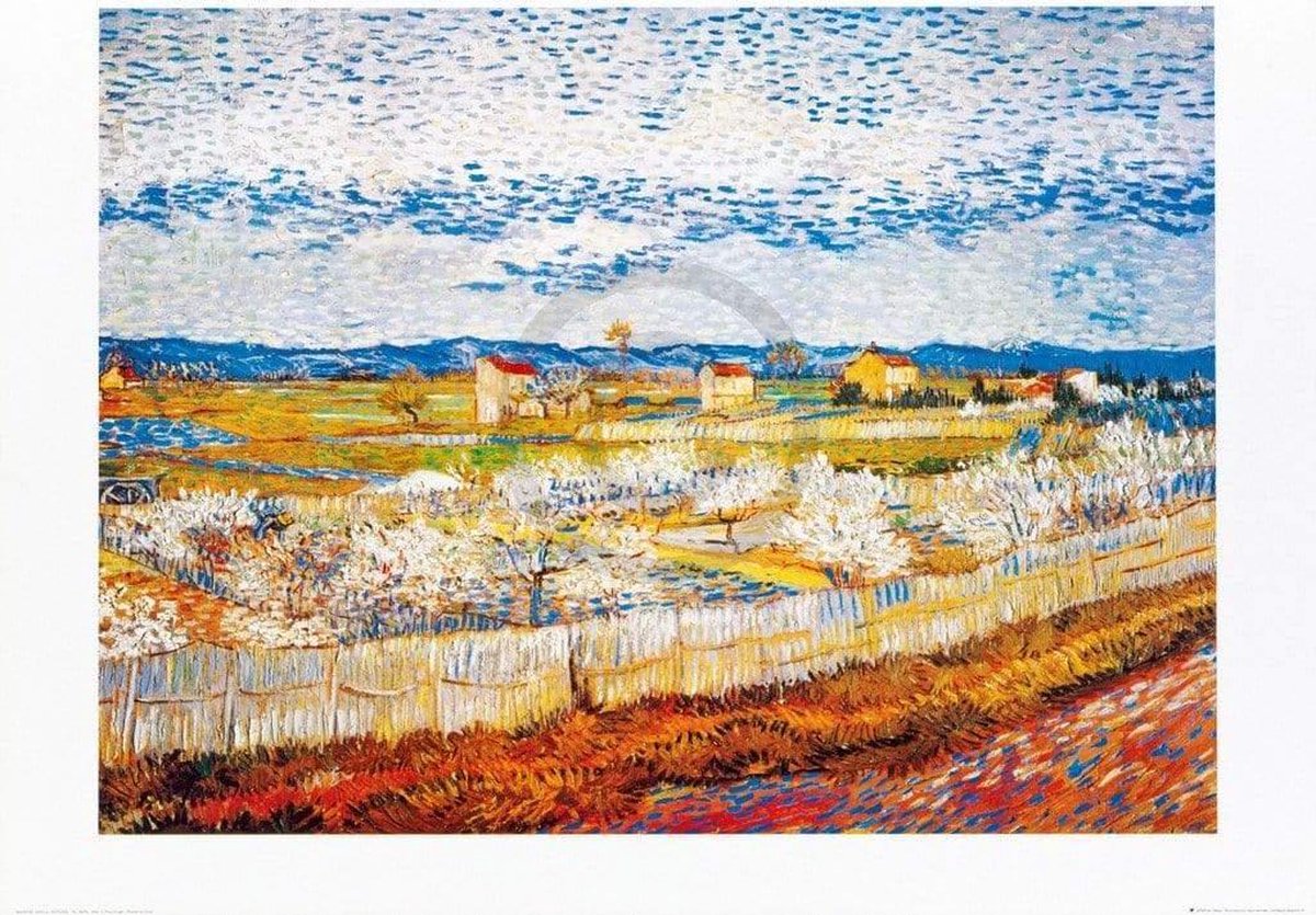 PGM Kunstdruk Vincent Van Gogh - Pesco in fiore 80x60cm Divers