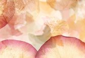 Fotobehang - Dried Flowers - 366 x 254 cm - Multi