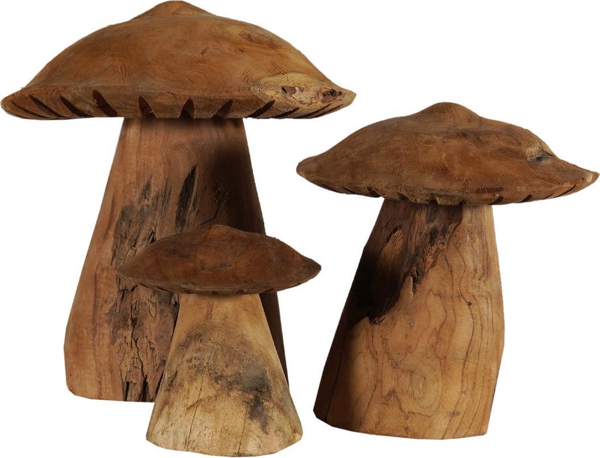 Teakhouten Paddenstoelen - set van 3 - houten paddenstoel