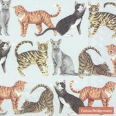IHR - Cats - 20 papieren lunch servetten - Katten - Licht blauw - 33x33cm - Decoupage - Servettentechniek